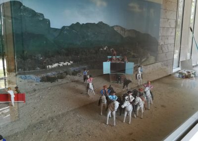 conception-bois-vitrine-diorama